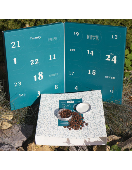 Adventni koledar s vrhunsko kavo 2025