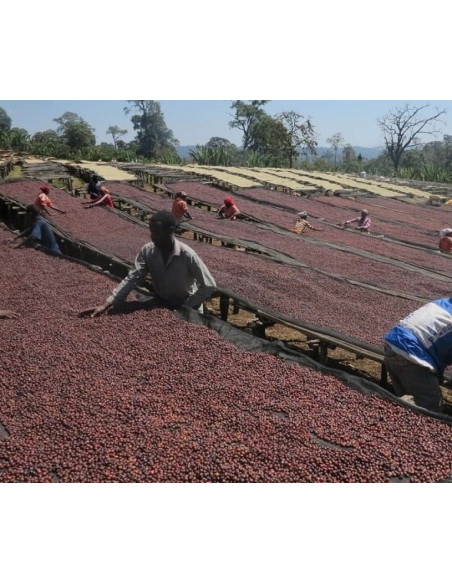 Kava Francin Kenija Ndundu 250 g