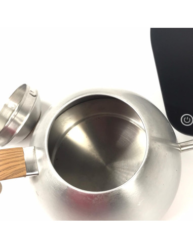 Čajnik iz nerjavečega jekla Brewista - Rabljen/Znižana cena