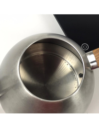 Čajnik iz nerjavečega jekla Brewista - Rabljen/Znižana cena