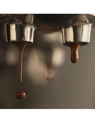 Vzvodni aparat za kavo SAGE THE BAMBINO™ PLUS SES500BTR