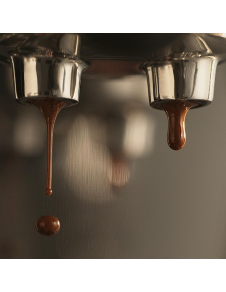 Vzvodni aparat za kavo SAGE THE BAMBINO™ PLUS SES500BTR