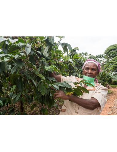 GourmetCoffee Specialty - Kenija Nyeri 250g