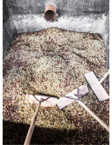 GourmetKava Specialty – Kenya Kiri 250 g