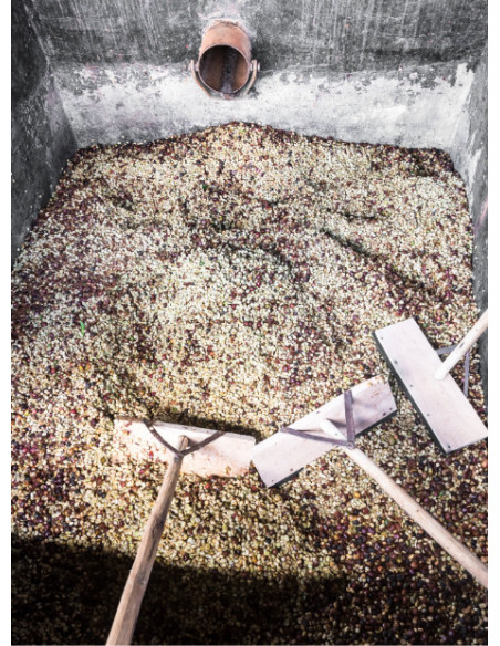 GourmetKáva Specialty - Kenya Ngiriambu 250g