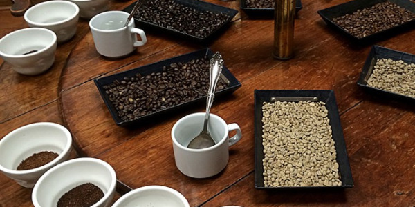 Priprava na domače okušanje - degustacija kave