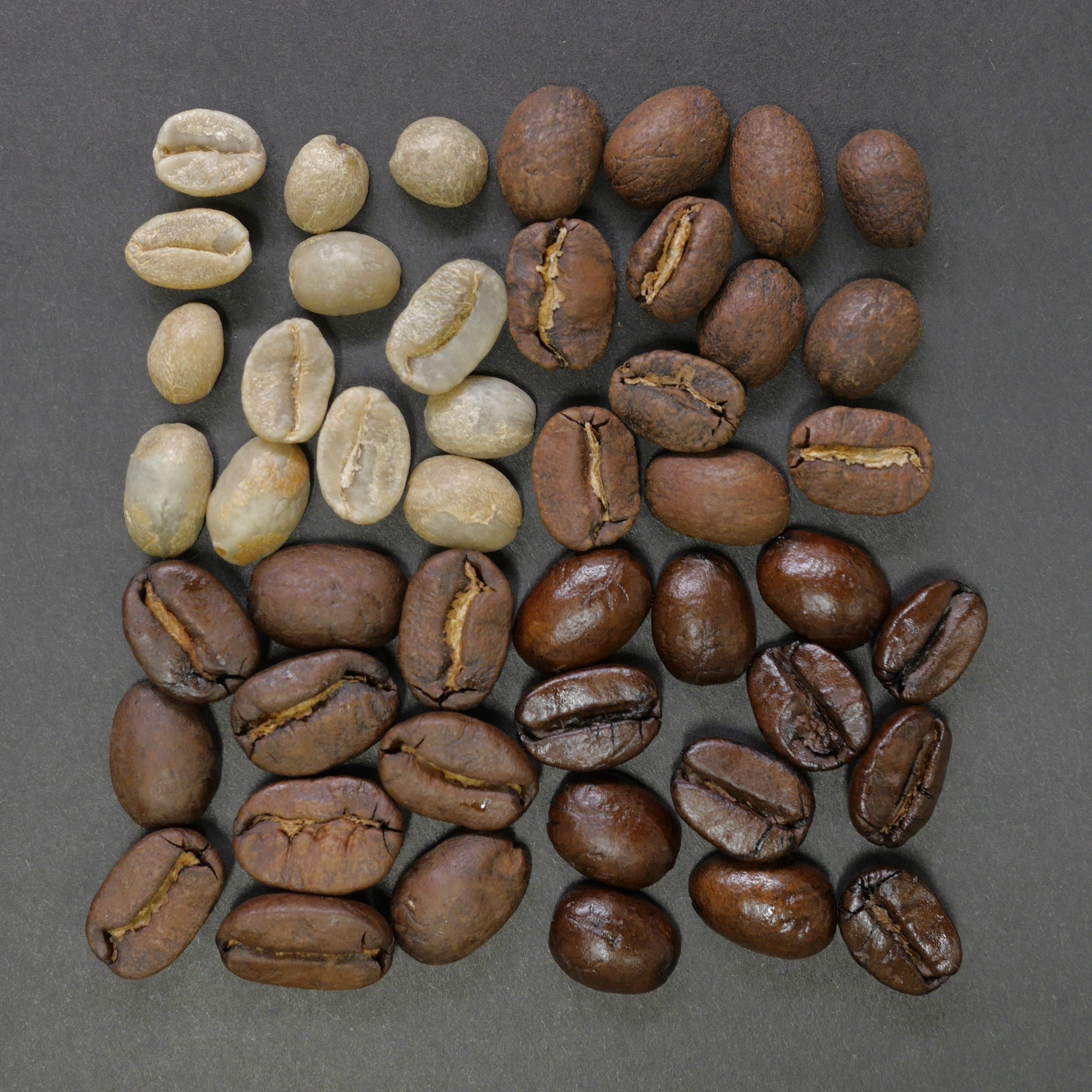 Primerjava kave Arabica in kave Robusta